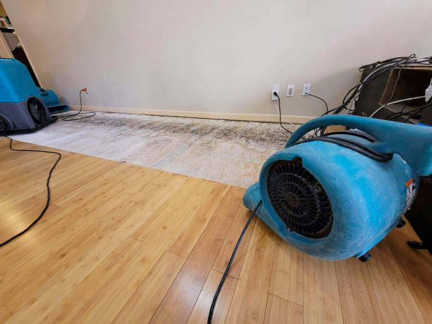 Professional Ceiling Water Damage Repair technician working in Vail, CO